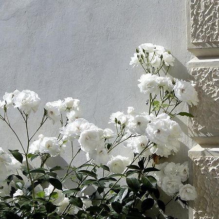 Villa Barberina Valdobbiadene Zewnętrze zdjęcie